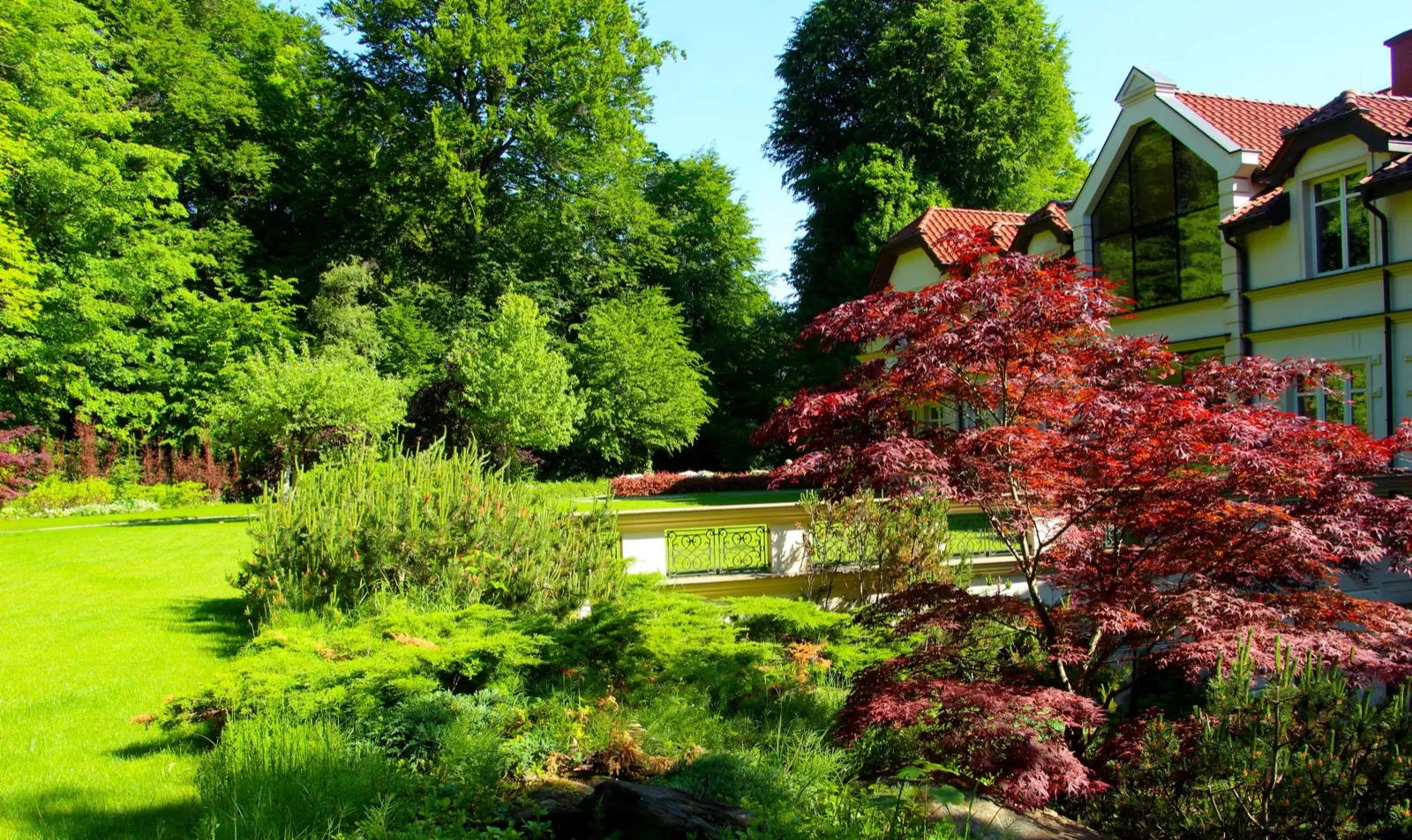 Landscaped garden showing seasonal outdoor living space